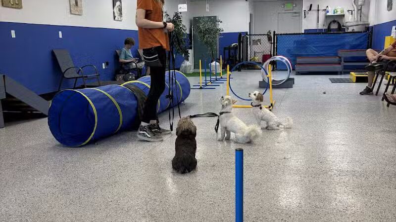 Desert Dog Oasis - St. George, UT