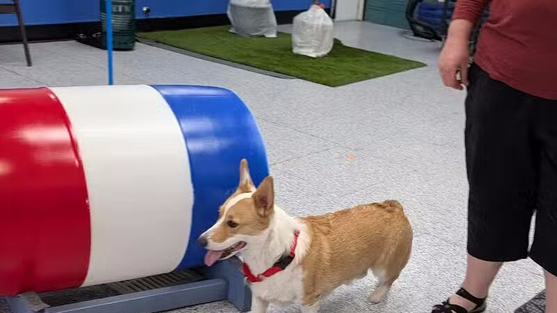 Desert Dog Oasis - St. George, UT