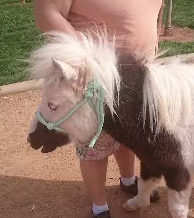 Firehouse Park - St. George, UT