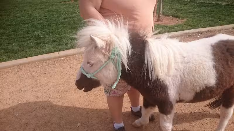 Firehouse Park - St. George, UT
