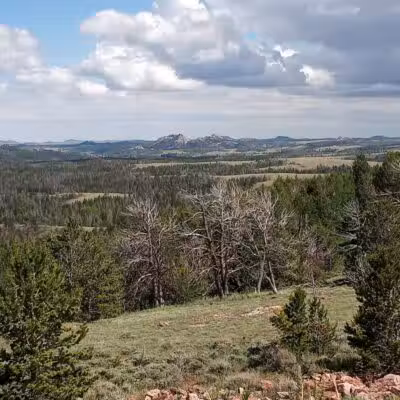 Saint James Park - St. George, UT