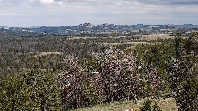 Saint James Park - St. George, UT