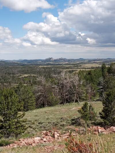 Saint James Park - St. George, UT