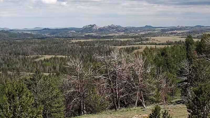 Saint James Park - St. George, UT