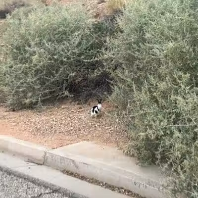 Saint James Park - St. George, UT