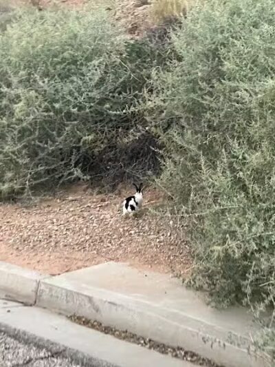 Saint James Park - St. George, UT