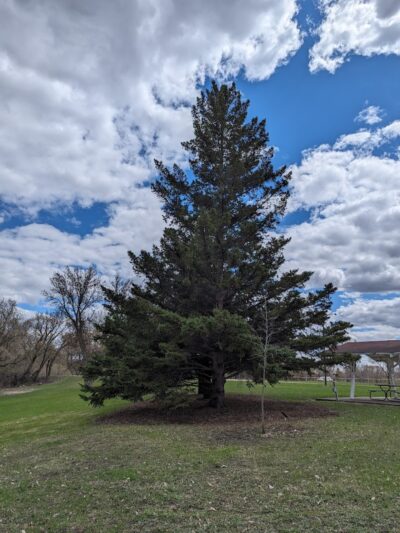Saint Hilaire City Park - St Hilaire, MN