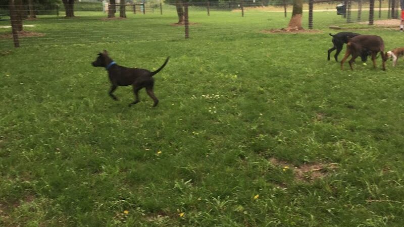 Unleashed Dog Park - St James, MN