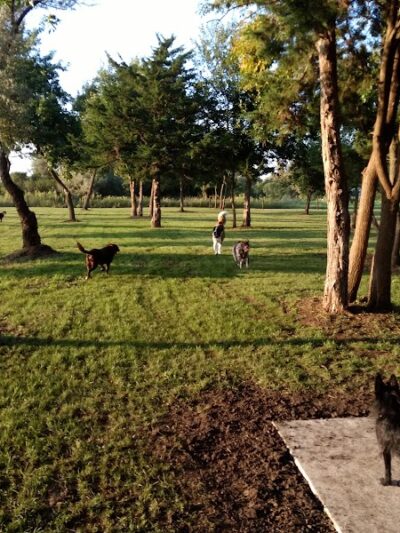 Unleashed Dog Park - St James, MN