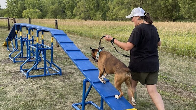 Unleashed Dog Park - St James, MN