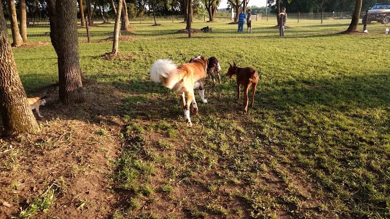 Unleashed Dog Park - St James, MN