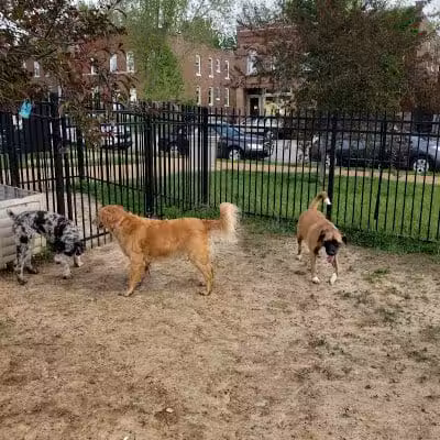 Forest Park Southeast Members Only Dog Park - St. Louis, MO