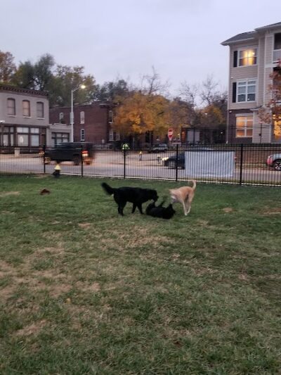 Forest Park Southeast Members Only Dog Park - St. Louis, MO
