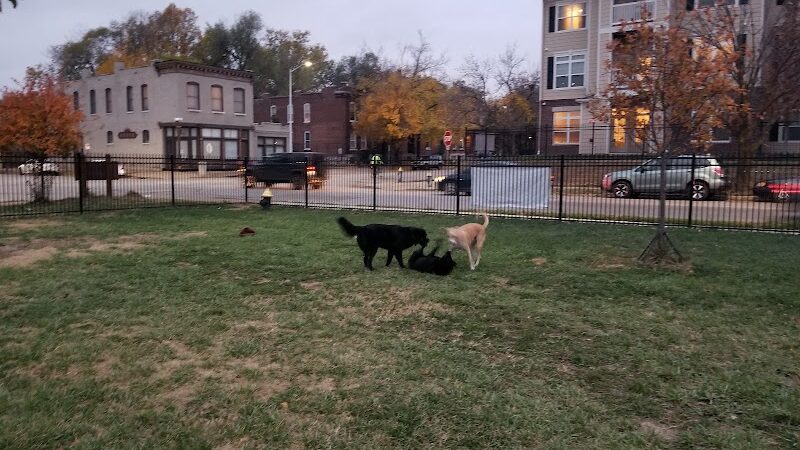 Forest Park Southeast Members Only Dog Park - St. Louis, MO