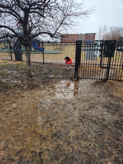 Forest Park Southeast Members Only Dog Park - St. Louis, MO