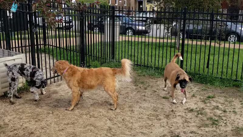 Forest Park Southeast Members Only Dog Park - St. Louis, MO