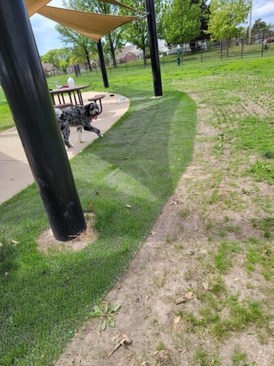 Kitun Park (Members Only) - St. Louis, MO