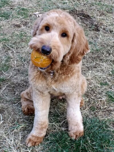 Kitun Park (Members Only) - St. Louis, MO