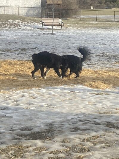 Kitun Park (Members Only) - St. Louis, MO