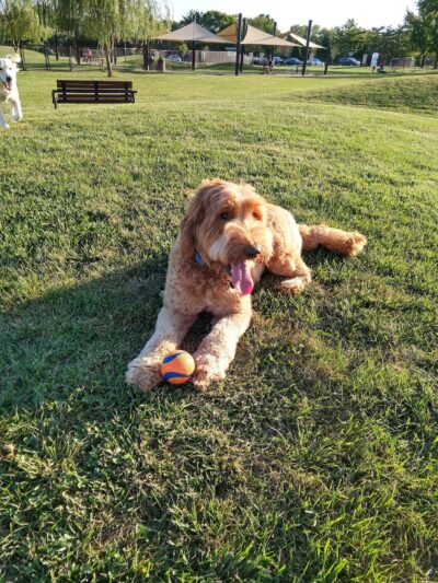 Kitun Park (Members Only) - St. Louis, MO