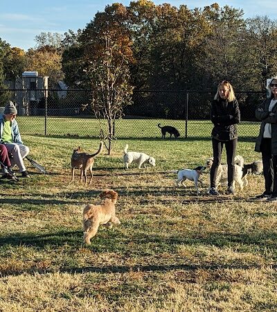 Kitun Park (Members Only) - St. Louis, MO