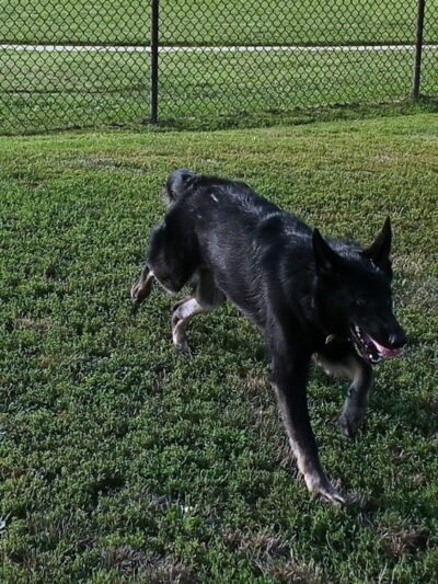 Kitun Park (Members Only) - St. Louis, MO