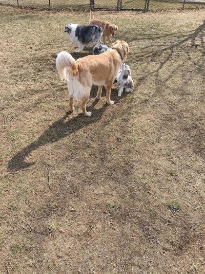 Kitun Park (Members Only) - St. Louis, MO