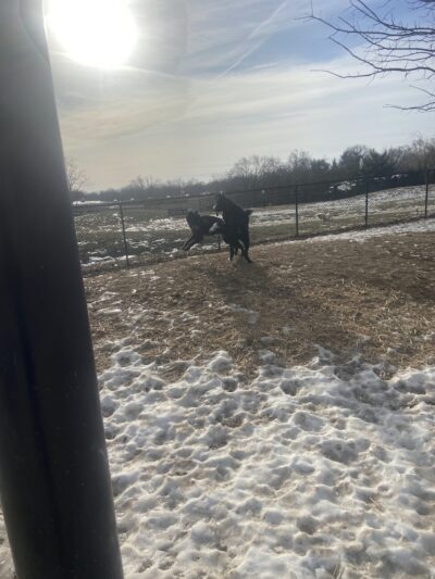 Kitun Park (Members Only) - St. Louis, MO