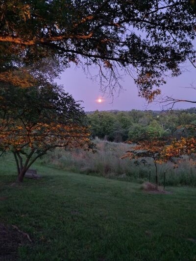 Queeny Park - St. Louis, MO