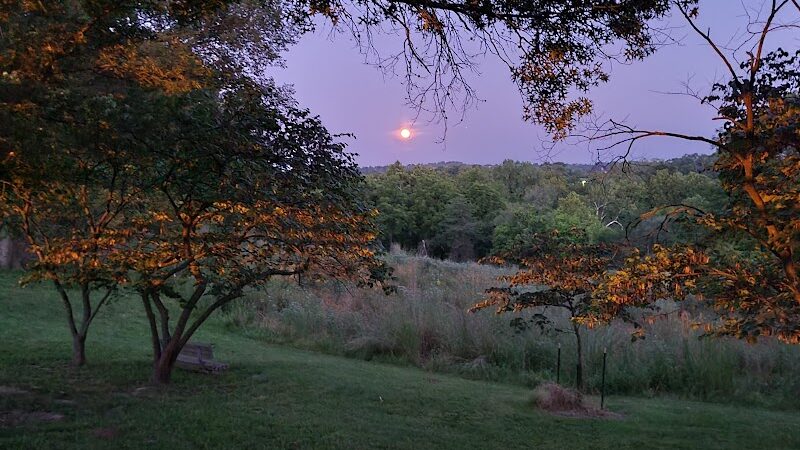 Queeny Park - St. Louis, MO