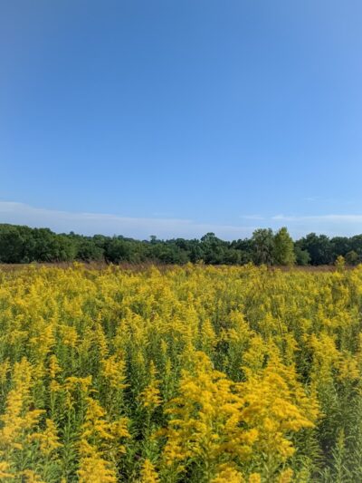 Queeny Park - St. Louis, MO