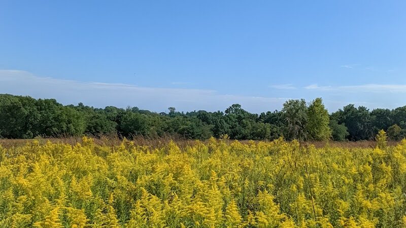Queeny Park - St. Louis, MO