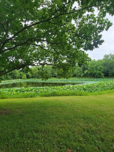 Queeny Park - St. Louis, MO