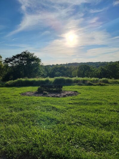 Queeny Park - St. Louis, MO