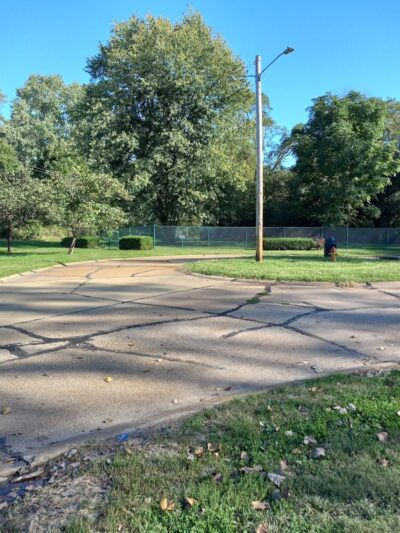 Wayside Park Unleashed Dog Park (membership only) - St. Louis, MO