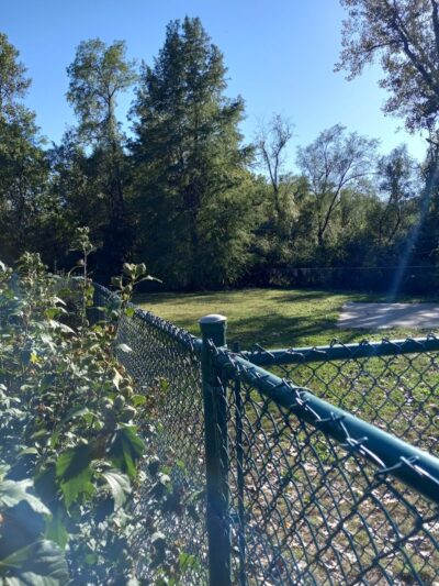 Wayside Park Unleashed Dog Park (membership only) - St. Louis, MO