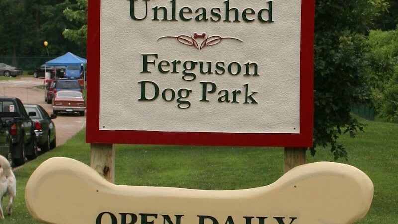 Wayside Park Unleashed Dog Park (membership only) - St. Louis, MO