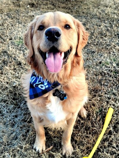 Community Park - St Peters, MO