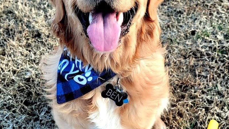 Community Park - St Peters, MO