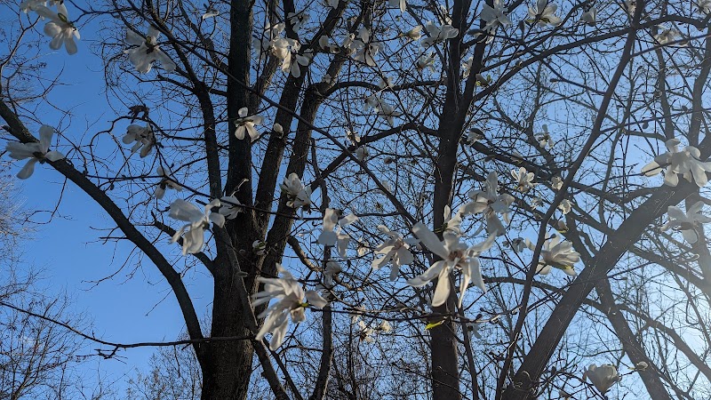 Lone Wolff Park - St Peters, MO
