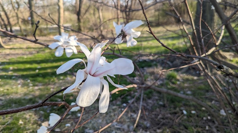 Lone Wolff Park - St Peters, MO