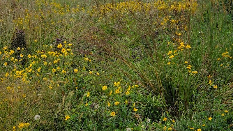 Rabbit Run Park - St Peters, MO