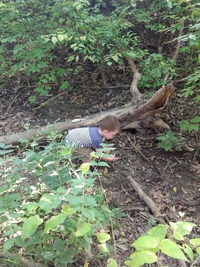 Shady Springs Park - St Peters, MO