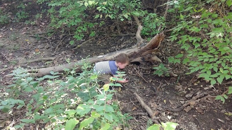 Shady Springs Park - St Peters, MO