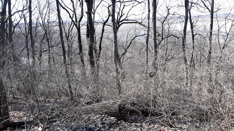 Shady Springs Park - St Peters, MO