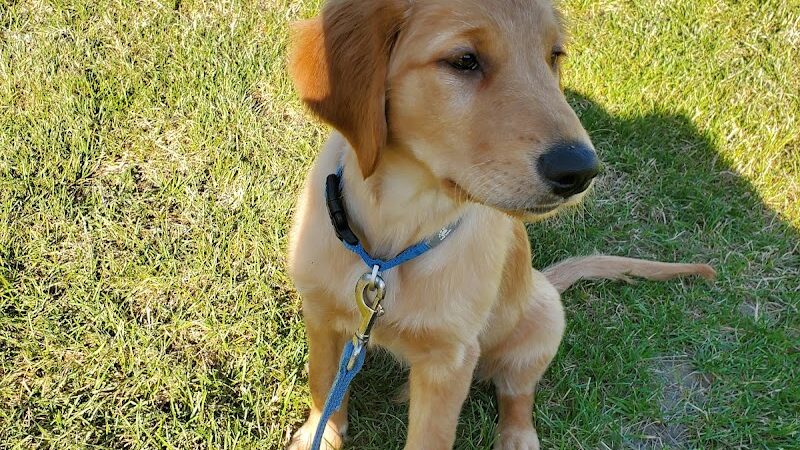 Shady Springs Park - St Peters, MO