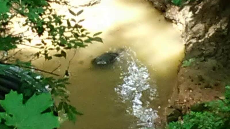 Shady Springs Park - St Peters, MO