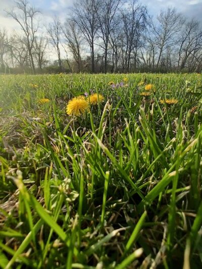Sports Center Park - St Peters, MO