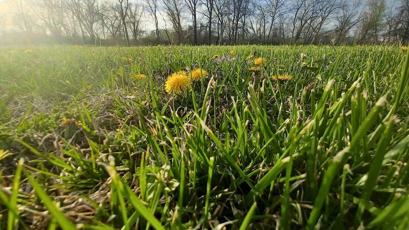 Sports Center Park - St Peters, MO
