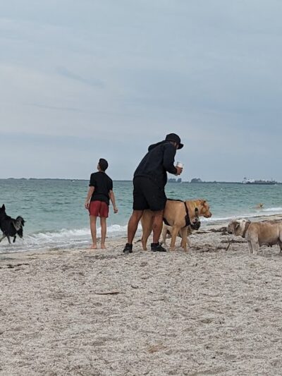 Fort De Soto Dog Park / Beach - St. Petersburg, FL